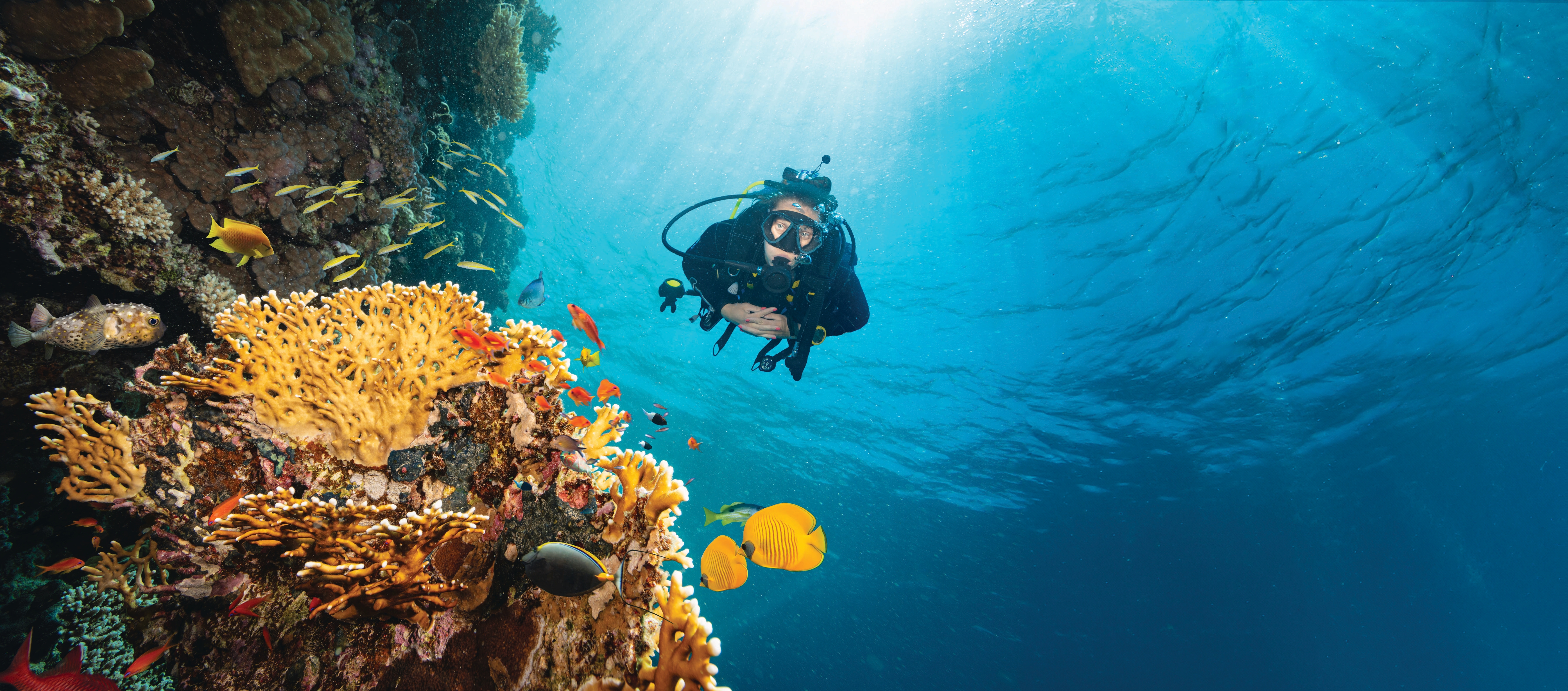 Scuba Diving
