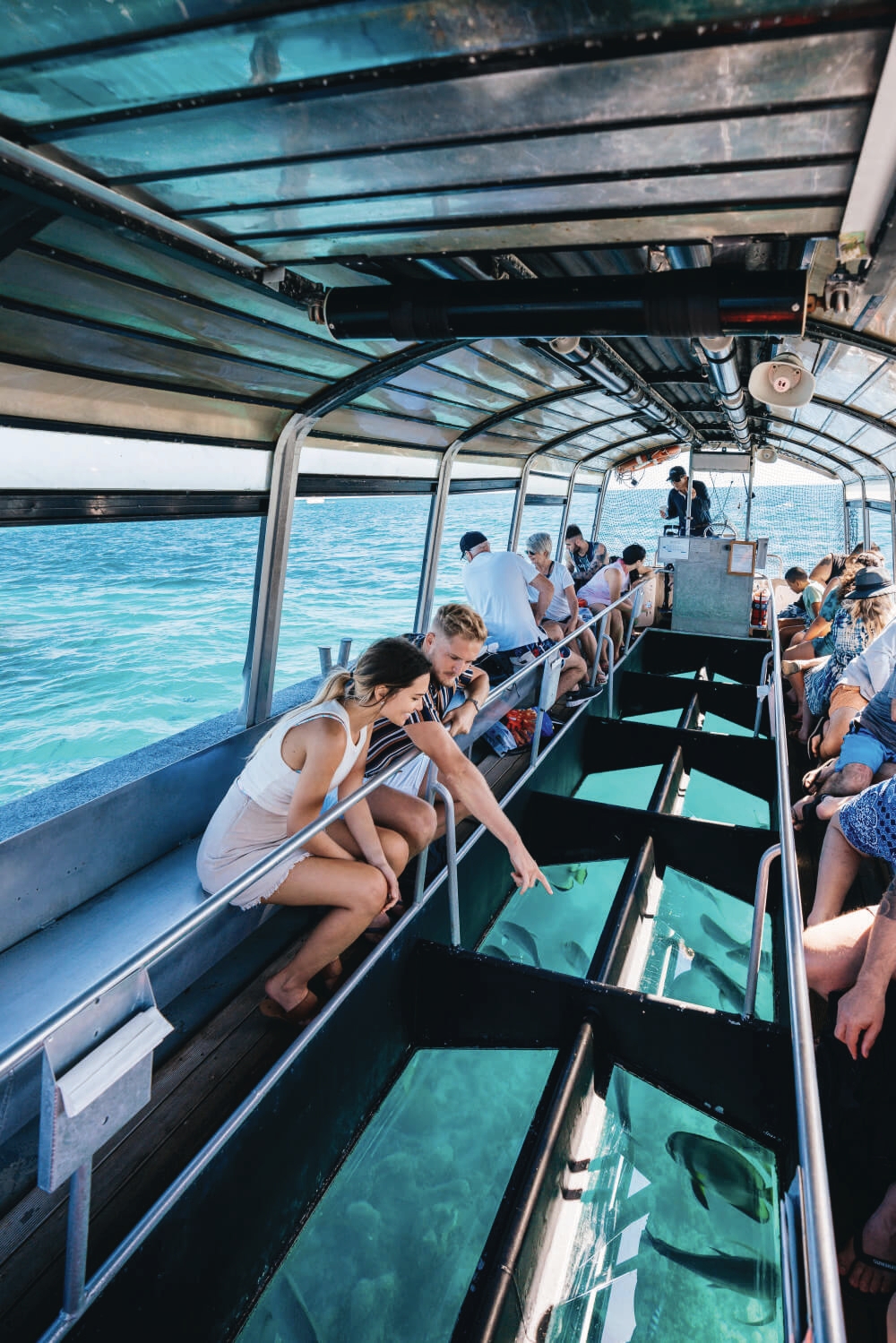 Glass-Bottom Boat Ride