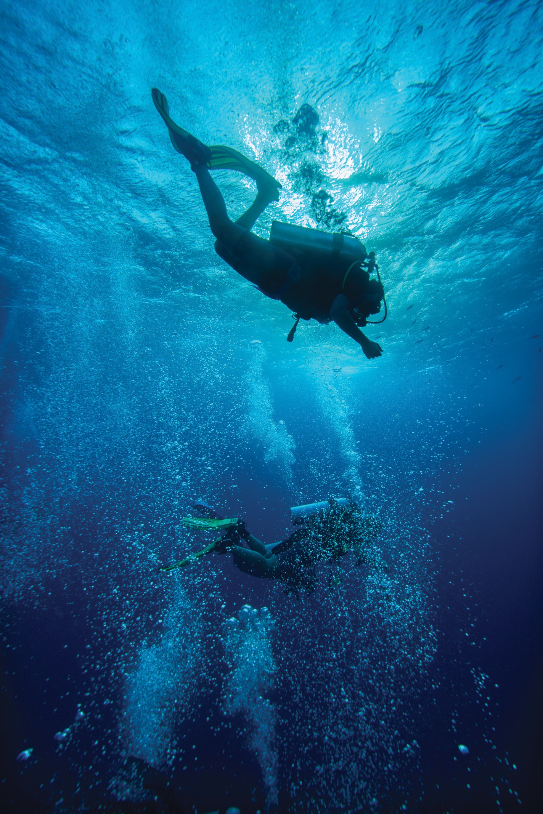 Scuba Diving